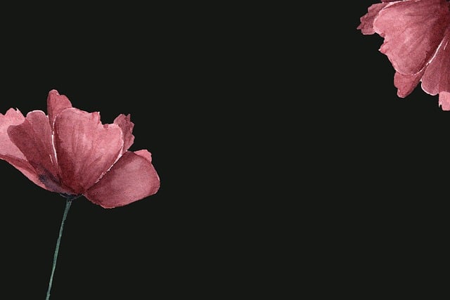 Tiara and Taylor Dias’ Marriage Unravels: Legal Separation Pursuit in Jackson County, March 25, 2024